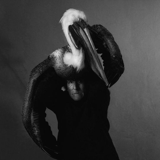 Javier Silva Meinel, El pelicano, 1993 © Javier Silva Meinel / Galerie Younique