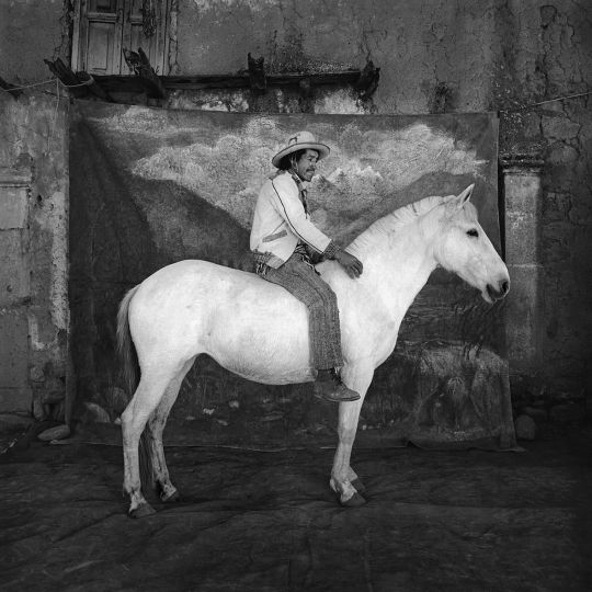 Javier Silva Meinel, Qorilazo montado, 1996 © Javier Silva Meinel / Galerie Younique