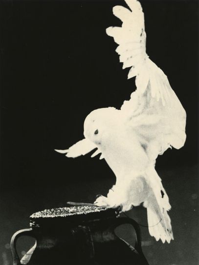 Yamamoto Masao, Untitled #1650 (from Kawa = Flow), 2016. Gelatin silver print, 8 3/4 x 6 5/8 inches. © Yamamoto Masao. Courtesy Yancey Richardson, New York.