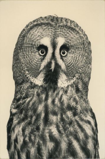 Yamamoto Masao, Untitled #1714 (from Kawa = Flow), 2023. Gelatin silver print, 9 1/2 x 6 1/4 inches. © Yamamoto Masao. Courtesy Yancey Richardson, New York.