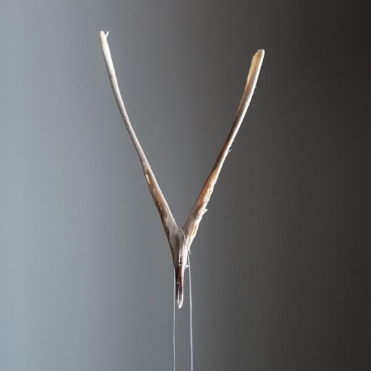 Untitled #1671, 2023 © Torrance York - Courtesy RWFA Rick Wester Fine Art