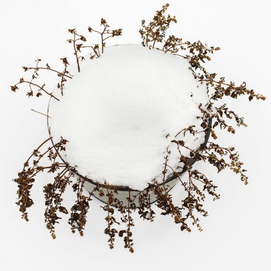 Untitled #9145, 2026 © Torrance York - Courtesy RWFA Rick Wester Fine Art