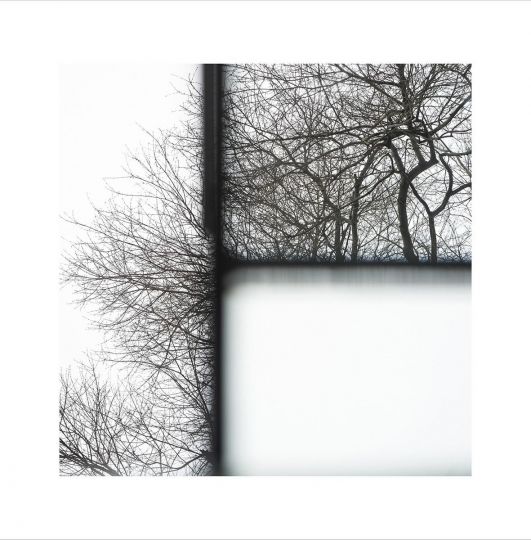 Untitled #3008, 2024 © Torrance York - Courtesy RWFA Rick Wester Fine Art