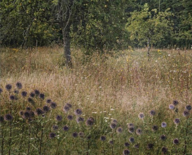 © FLORE - Je suis dans des mondes étranges – Courtesy Maison CF / Centre des Monuments Nationaux