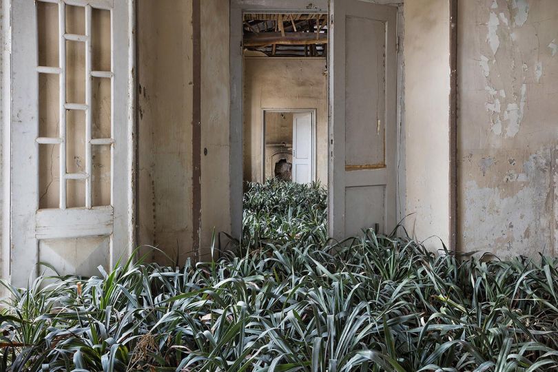 Gohar Dashti, Home 2017