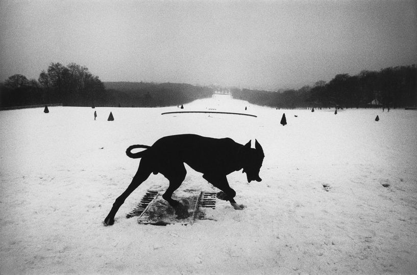 FRANCE. Hauts-de-Seine. Parc de Sceaux. 1987. © Josef Koudelka/Magnum Photos, Courtesy of the Josef Koudelka Foundation