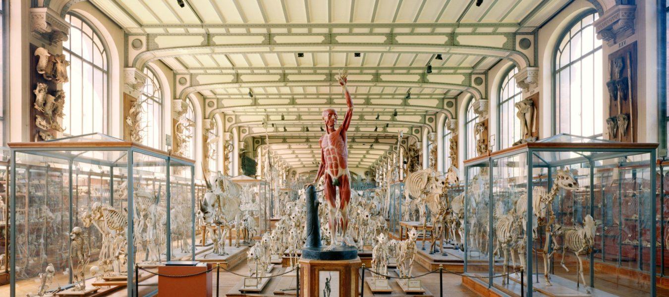 Les animaux, fantômes et images du Łódź Fotofestiwal 2026