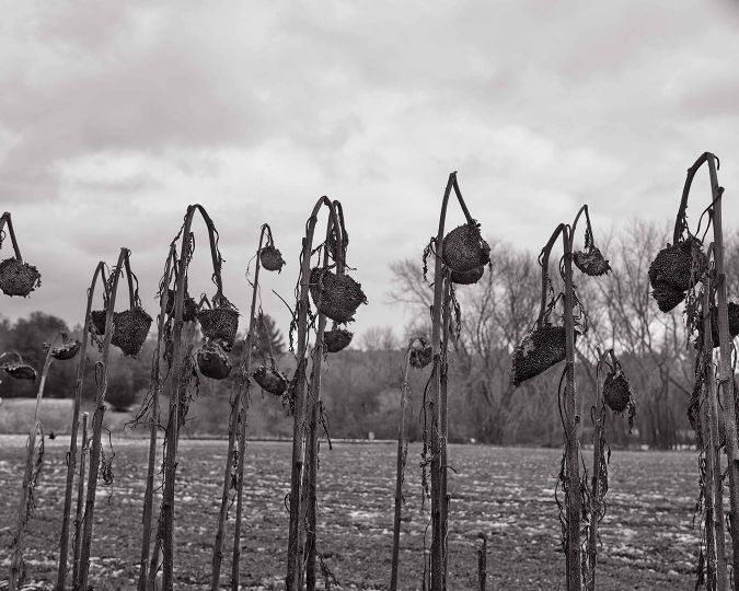 © Scott Offen - Grace - Courtesy L’Artiere