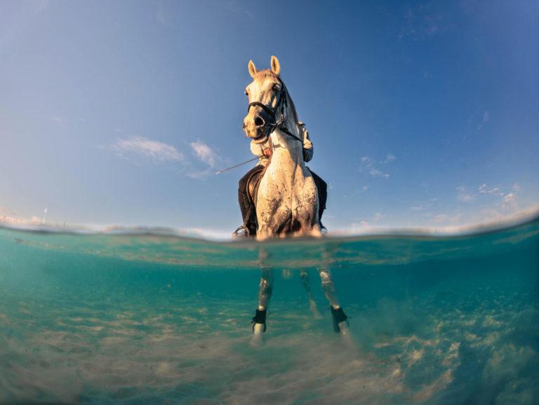 Sony World Photography Awards 2027