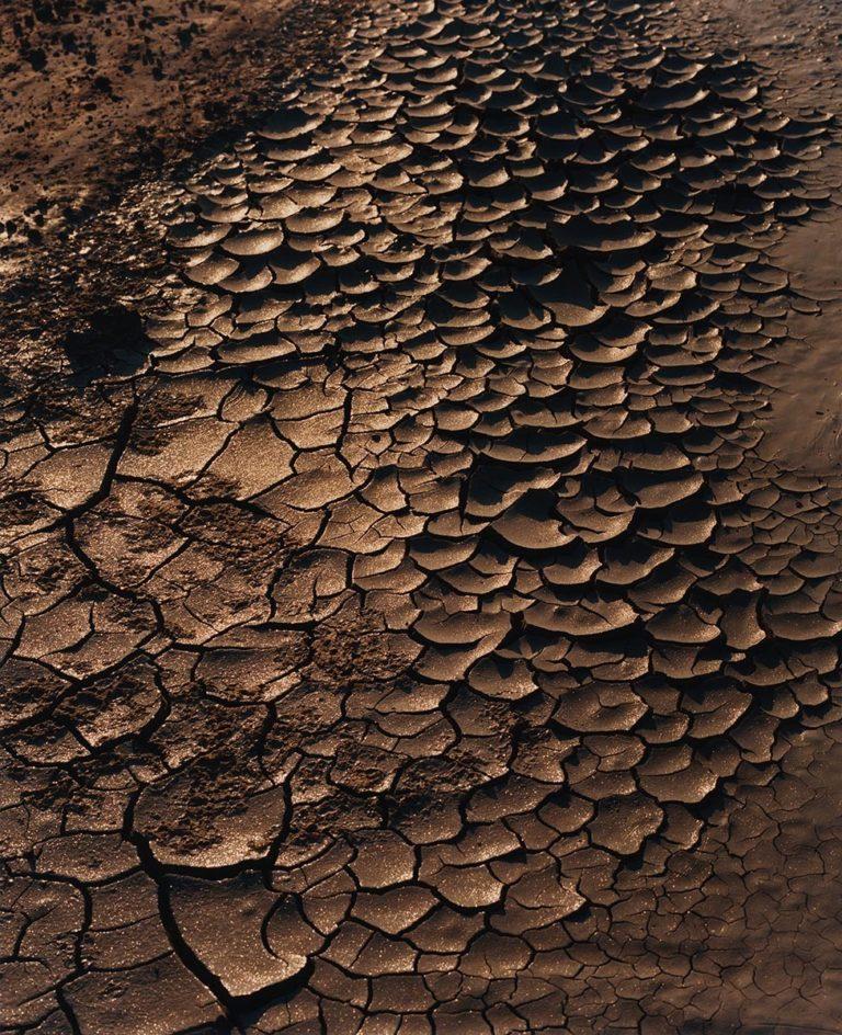 10 14 Gallery : Jess Gough : Still Formation
