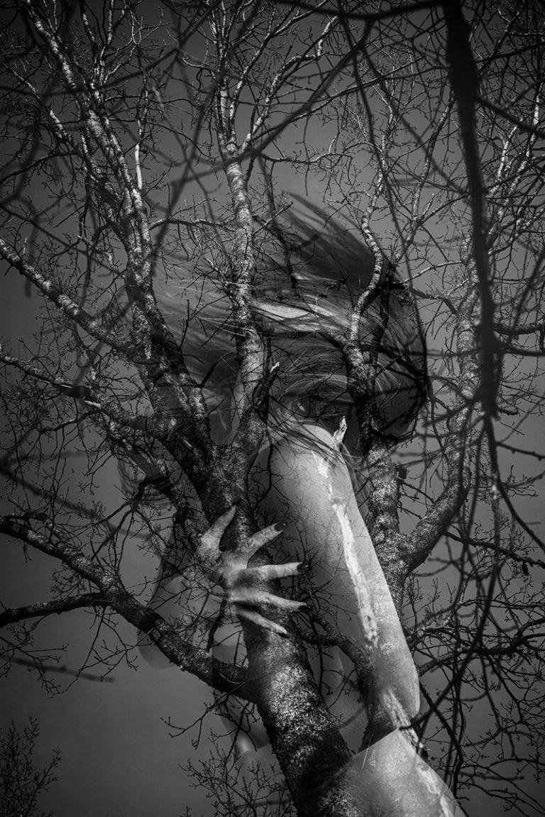 Sullivan Gallery : Meeri Koutaniemi : Nature of Nordic Woman