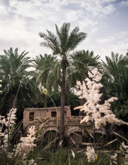 A dream of Saudi Arabia © Gilles Bensimon