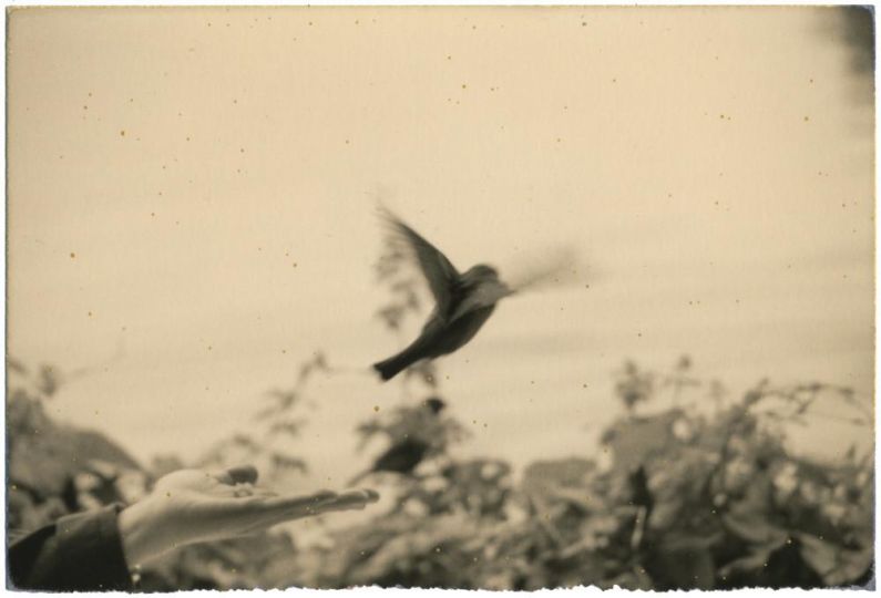 #0709 © Yamamoto Masao - Courtesy Galerie Camera Obscura