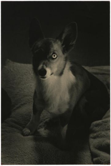 #0811 © Yamamoto Masao - Courtesy Galerie Camera Obscura