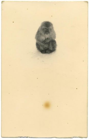 #1254 © Yamamoto Masao - Courtesy Galerie Camera Obscura