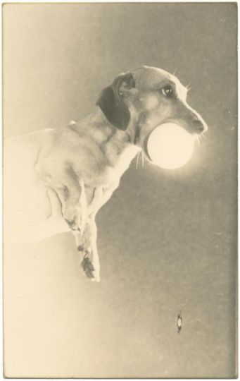 #1433 © Yamamoto Masao - Courtesy Galerie Camera Obscura