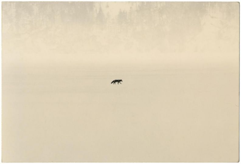 #1730 © Yamamoto Masao - Courtesy Galerie Camera Obscura