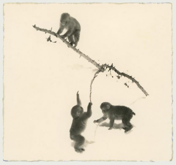 #1751 © Yamamoto Masao - Courtesy Galerie Camera Obscura
