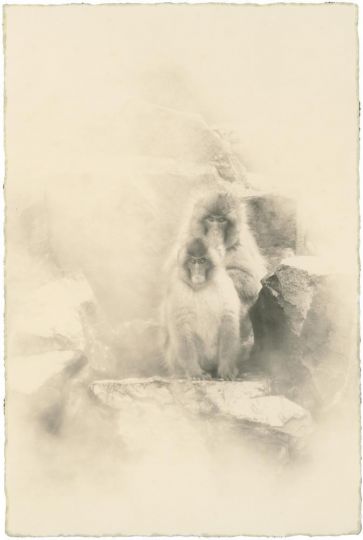 #1758 © Yamamoto Masao - Courtesy Galerie Camera Obscura