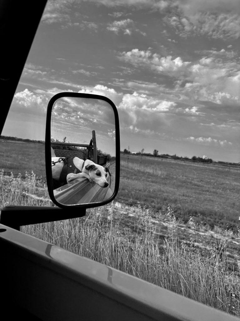 Summer is here ! Kristian Gavoille