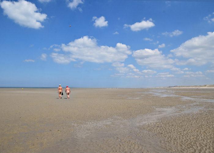 Summer is here ! Thierry Camus