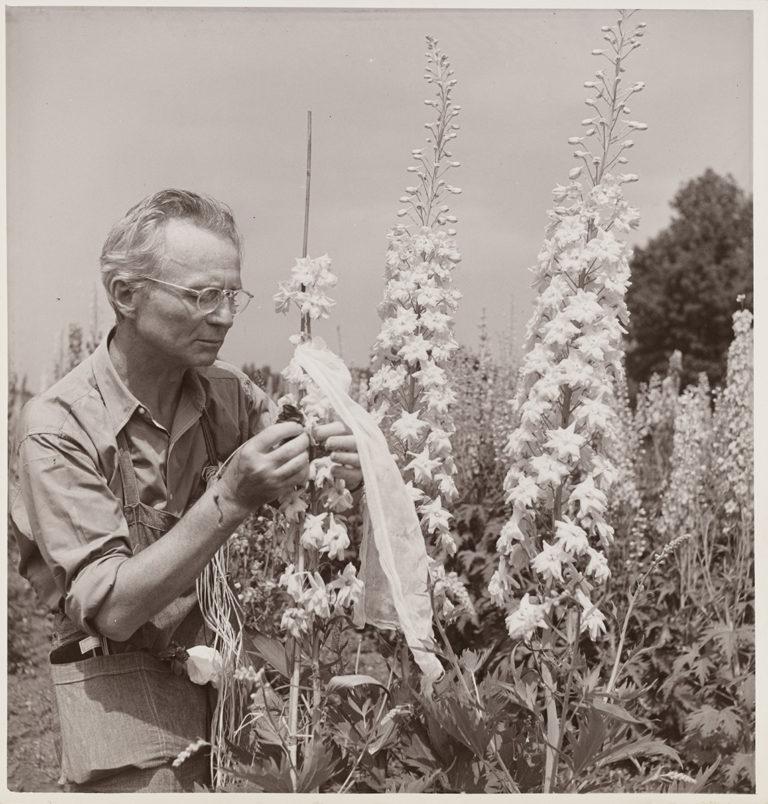 Arles 2026 : Lët’z Arles Luxembourg Photography Award 2026 : Edward Steichen’s Nature