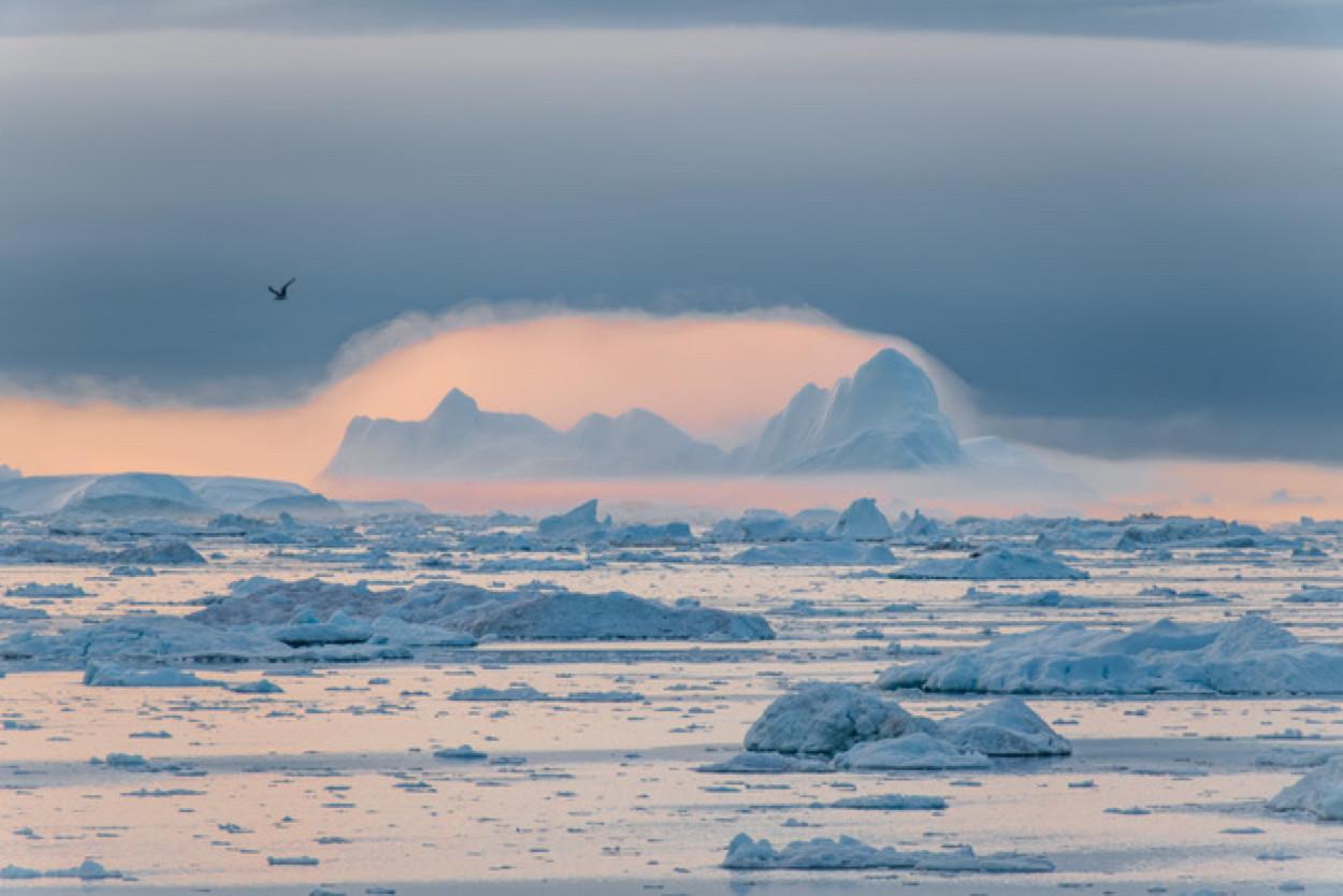 Photography Exhibition - Or Bleu Photo Festival – Competition closes