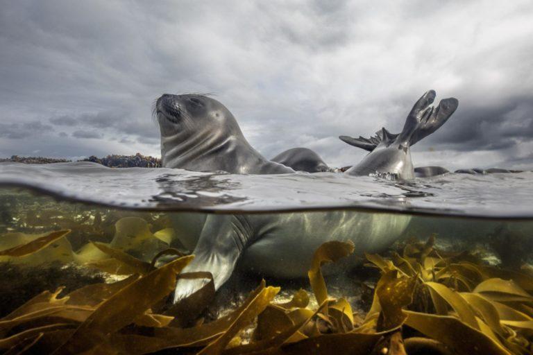 Call for application - Sony World Photography Awards