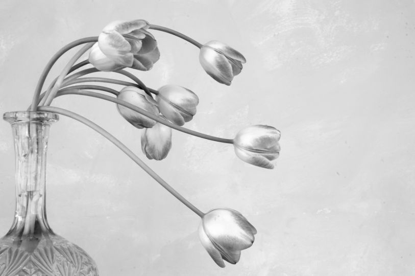 Alchimies: Sarah Moon - The Eye of Photography Magazine