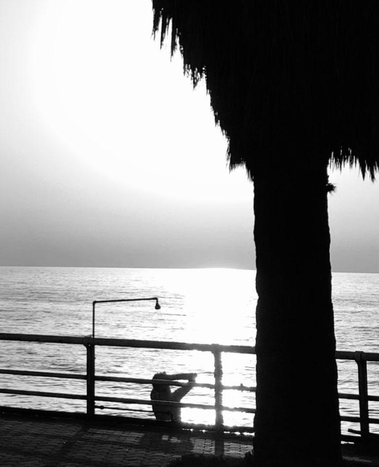 Summer is here ! Maria Teresa Bellotti