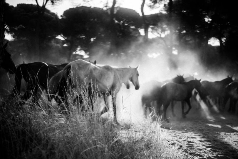 Sam Haskins: For the love of Cowboy Kate - The Eye of Photography