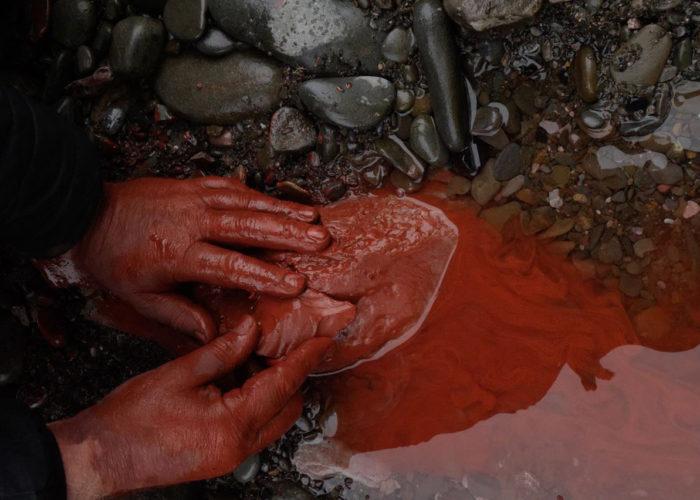 Eden Project : Extinction : Renewal, Art of a Living Planet