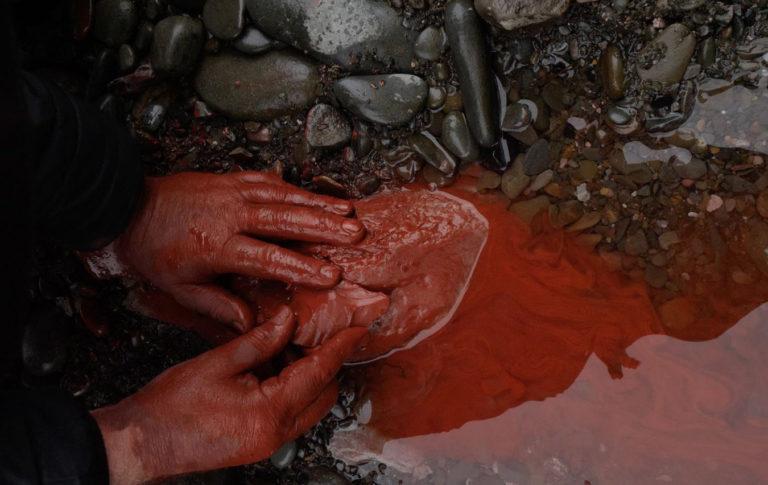 Eden Project : Extinction : Renewal, Art of a Living Planet
